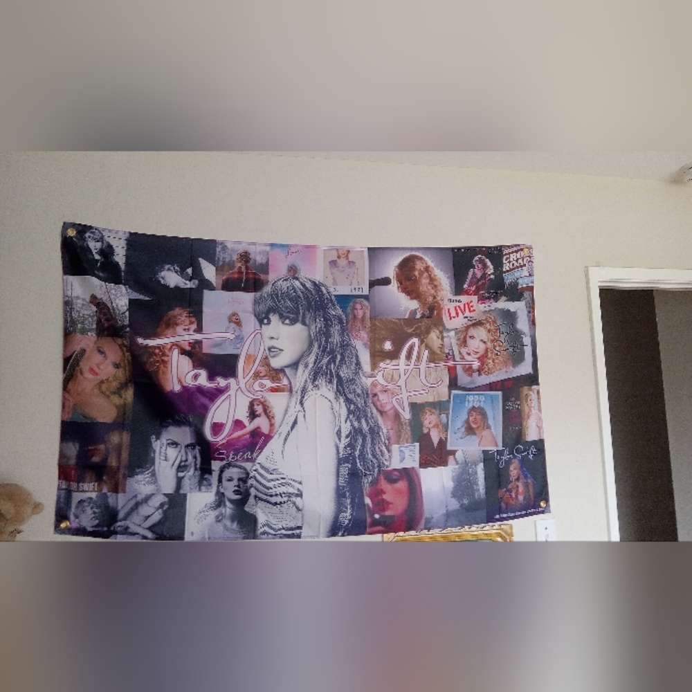 NWT Taylor Swift banner flag